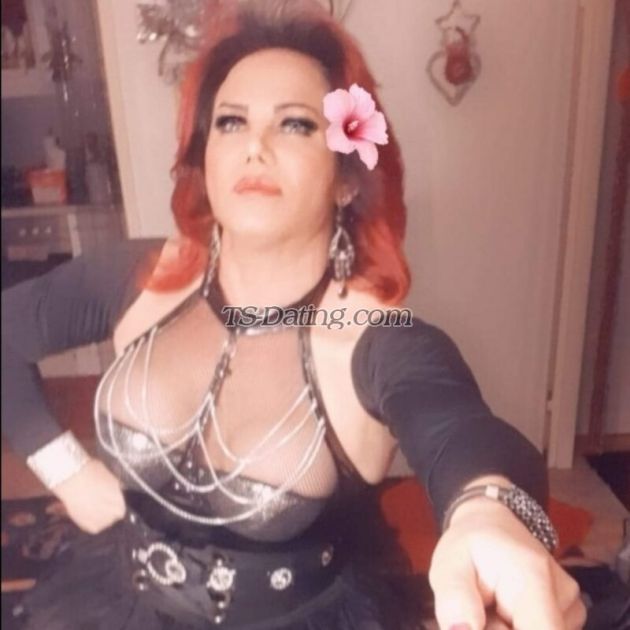 Angel2024 - Transsexual (Pre-op)