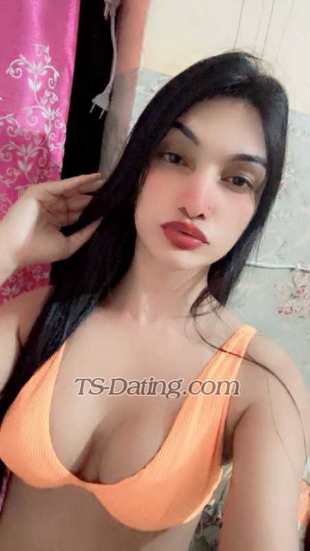 Ankyhott - Transsexual (Pre-op)