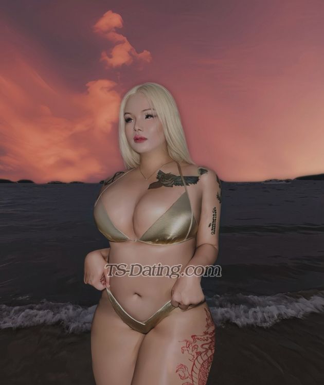 Hoya shemale - Transsexual (Pre-op)