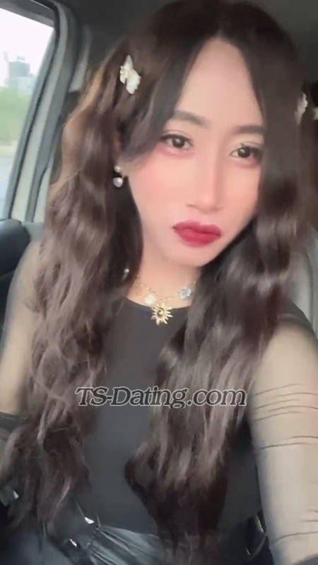 Lindev - Transsexual (Pre-op)