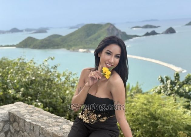 Monica888 - Transsexual (Pre-op)