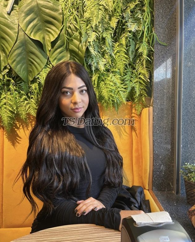 Nicolly lins - Transsexual (Pre-op)