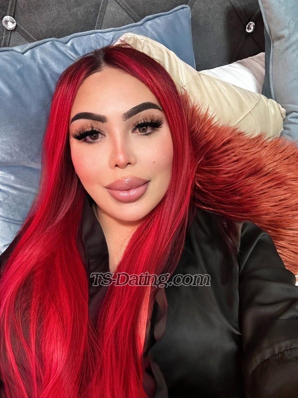 Shanell xl - Transsexual (Pre-op)