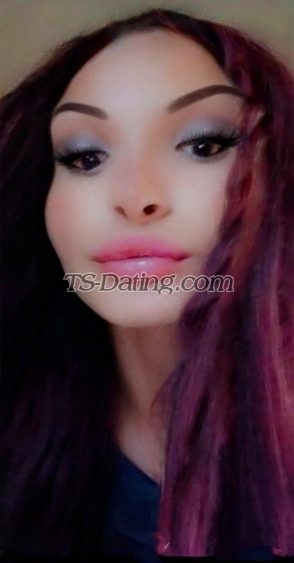 Vikitrans - Transsexual (Pre-op)