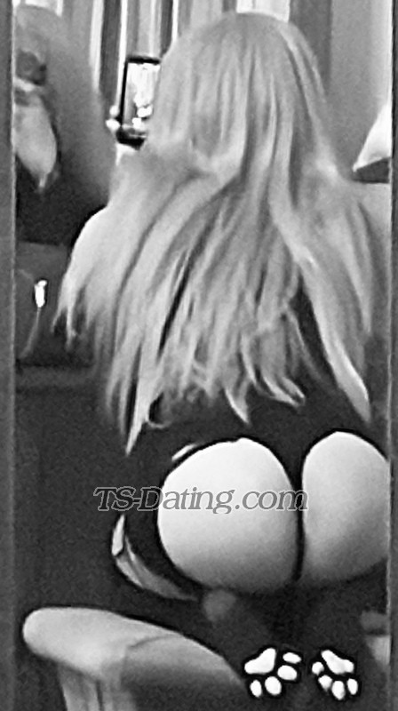 toydoll - Transsexual (Pre-op)